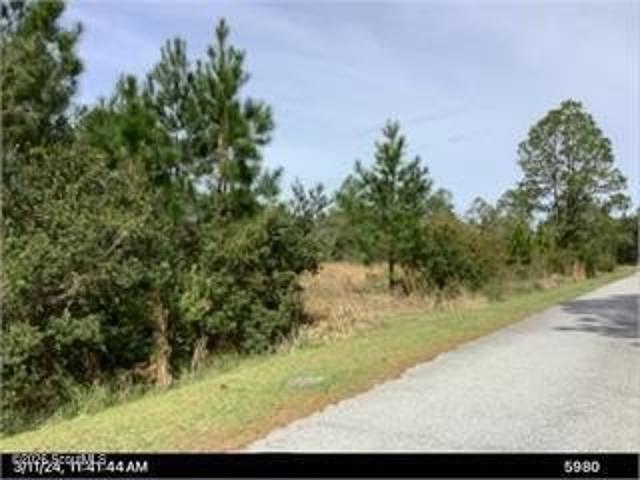 Land for sale in Waverly, Georgia