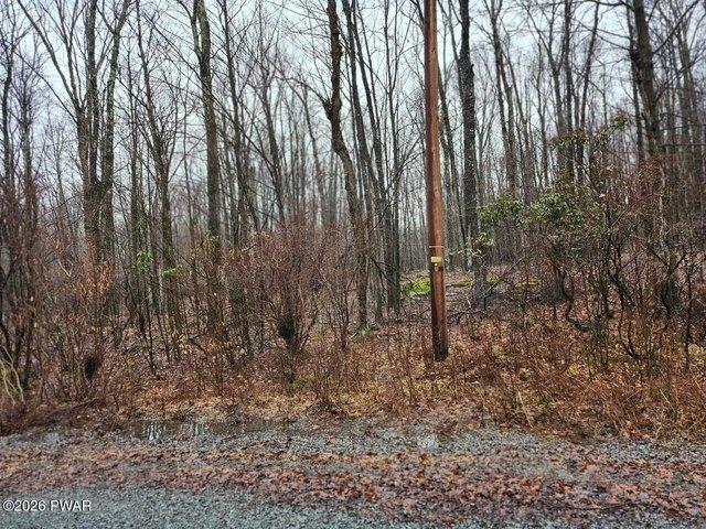 Land for sale in Honesdale, Pennsylvania