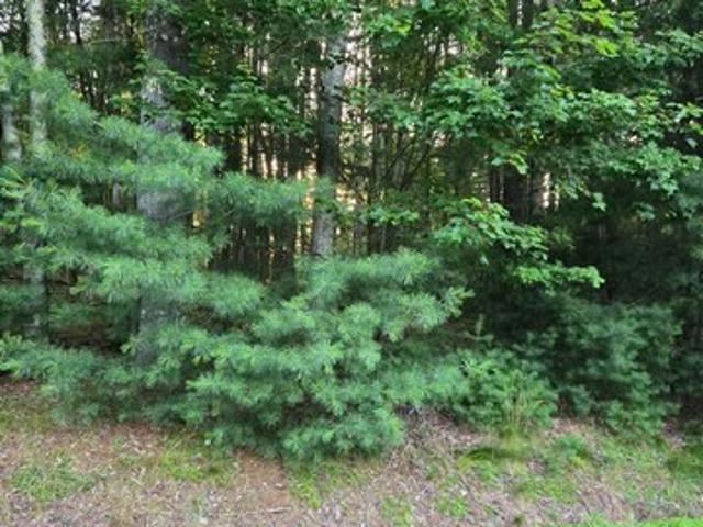 Land for sale in Bethel, New York
