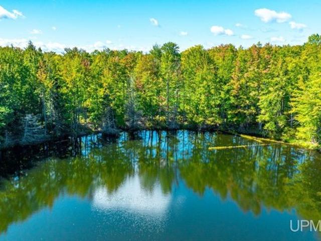 Land for sale in Toivola, Adams Township