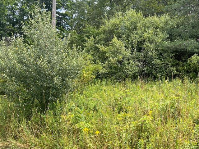 Land for sale in Bethel, New York