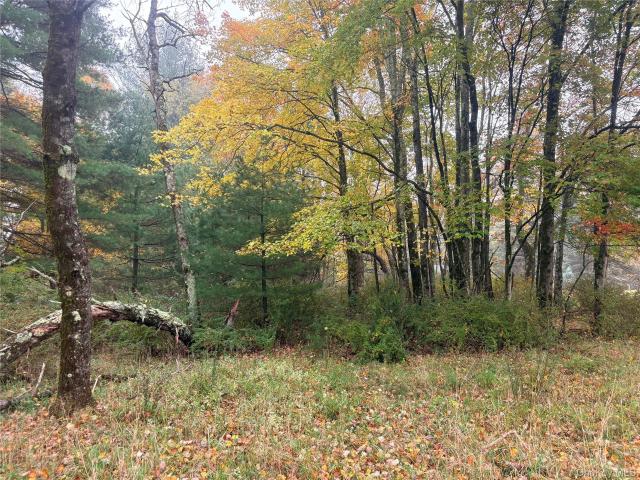 Land for sale in Town of Bethel, Sullivan County