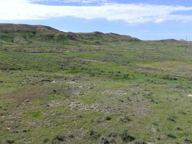 Land for sale in Newcastle, Weston County