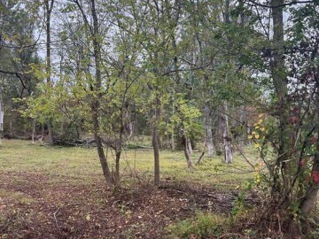Land for sale in Chester Springs