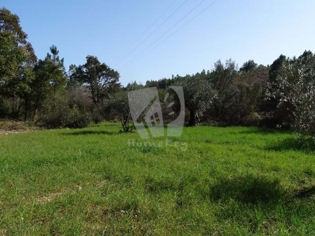 Quinta venda em Castelo Branco