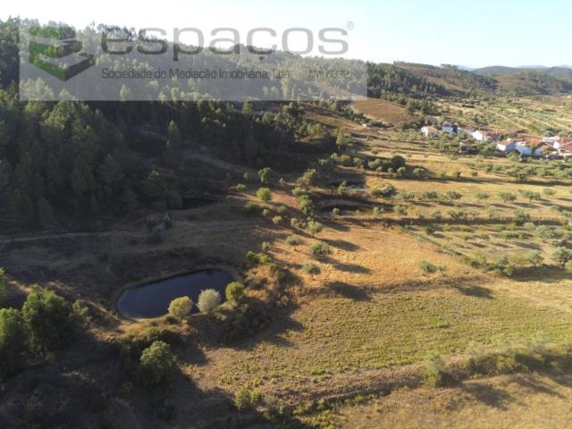 Quinta venda em Castelo Branco