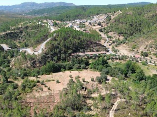 Terreno venda em Castelo Branco