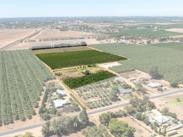 Cottage for sale in Loxton, South Australia