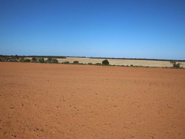 Land for sale in Monak, New South Wales
