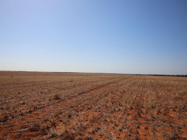 Property for sale in Monak, New South Wales