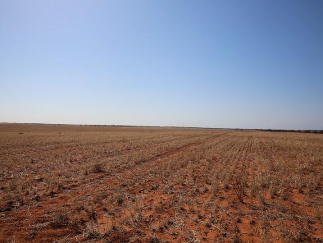 Property for sale in Monak, New South Wales