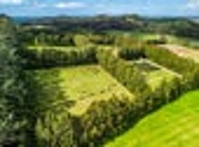 Land for sale in Karetu, Northland