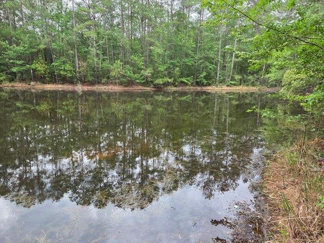 Farm for sale in Saratoga, Texas