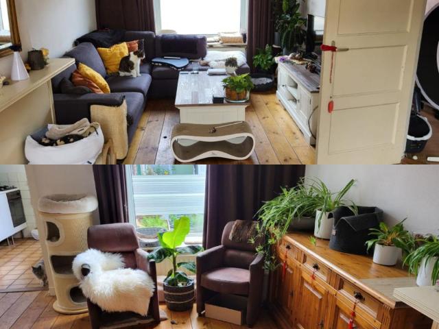 Kamer te huur in Groenewoud, Tilburg