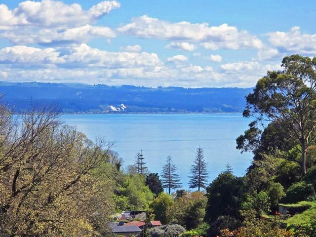 Apartment for rent in Napier Hill, Napier