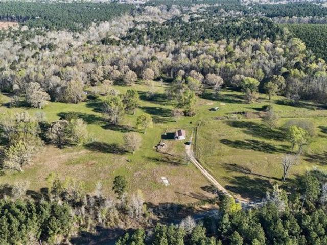Land for sale in Rodessa, Louisiana