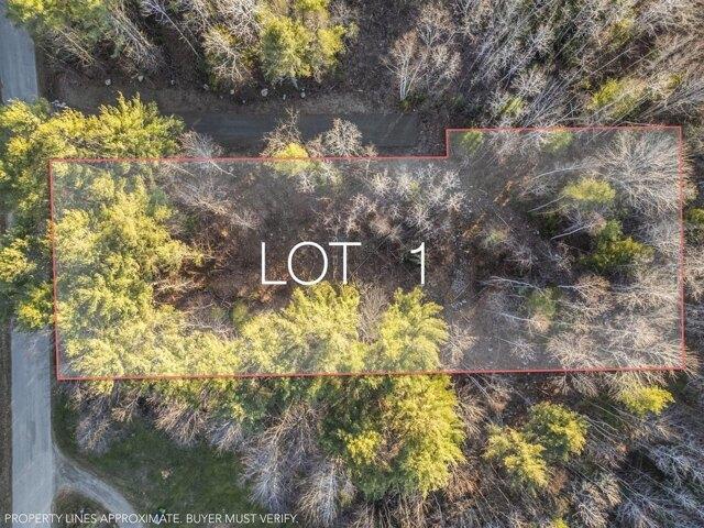 Land for sale in Waldo, Maine