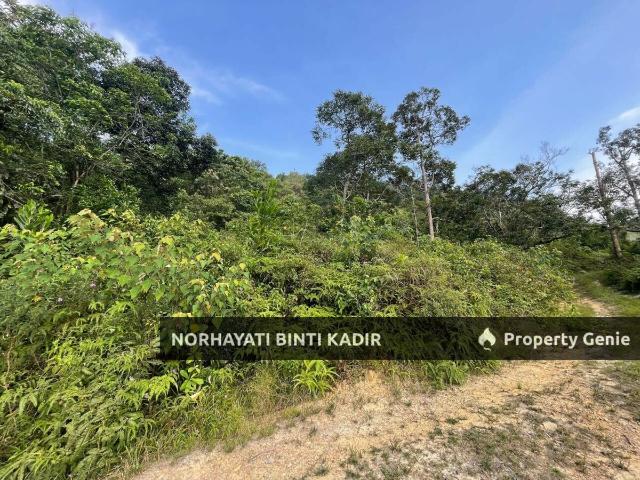 Property for sale in Pasir Kemudi, Pahang