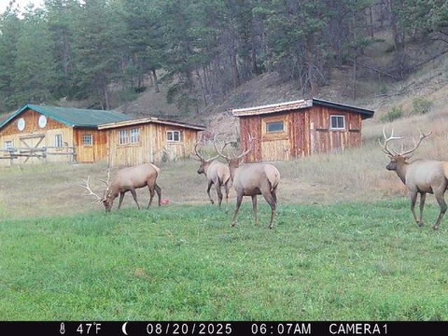 Land for sale in Hot Springs, South Dakota