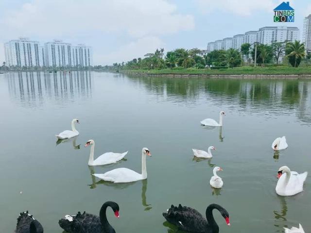 Căn hộ bán tại Hoàn Kiếm, Hà Nội