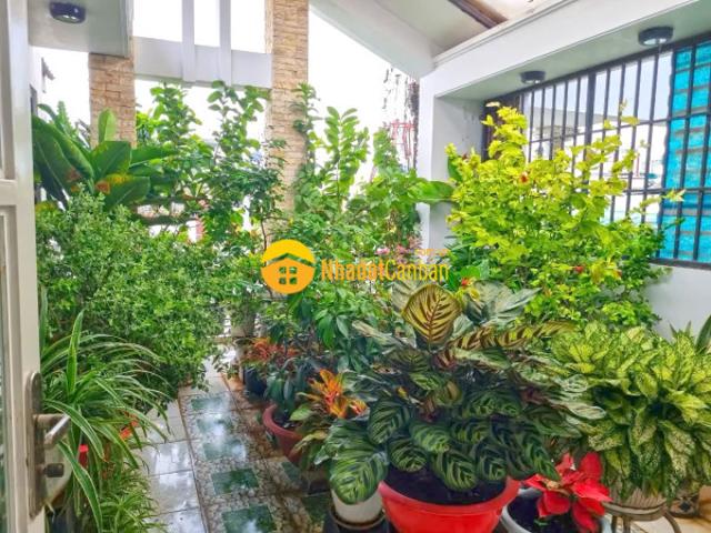 Nhà mặt phố bán