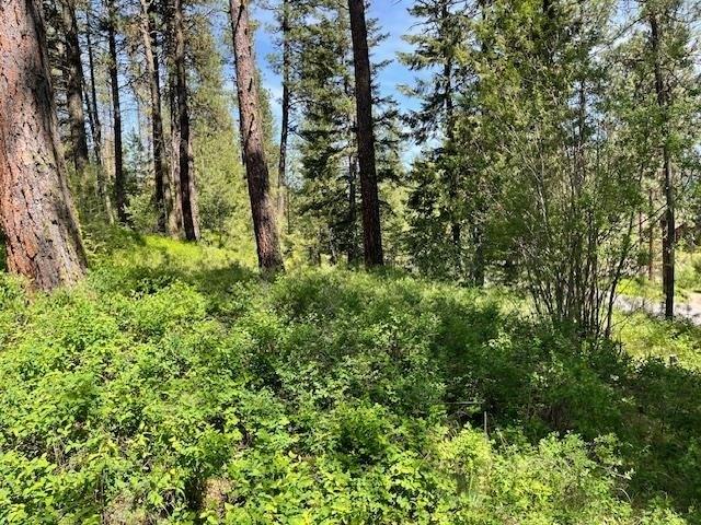 Land for sale in New Meadows, Idaho