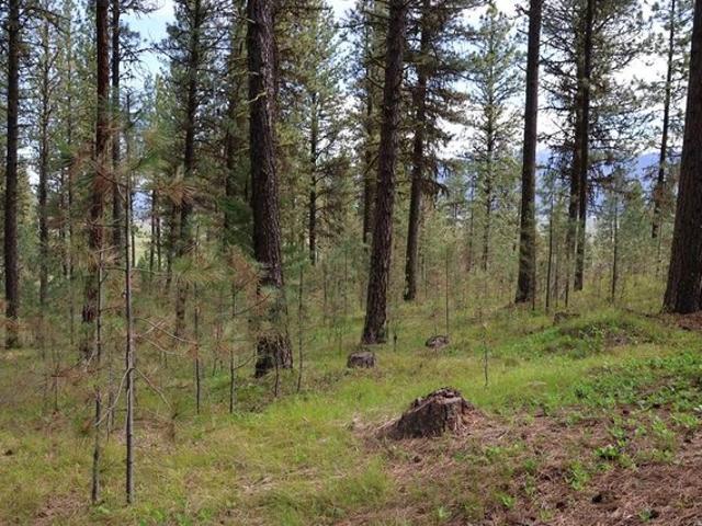 Land for sale in New Meadows, Idaho