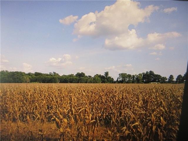 Land for sale in Boyce, Louisiana