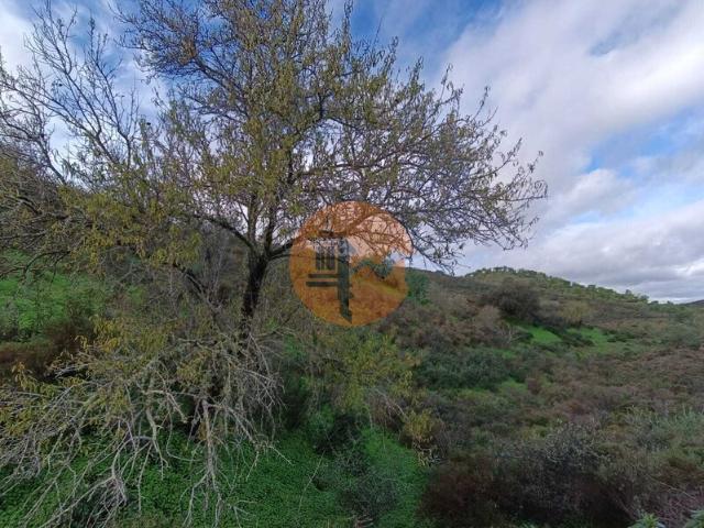 Loja venda em Castro Marim, Faro