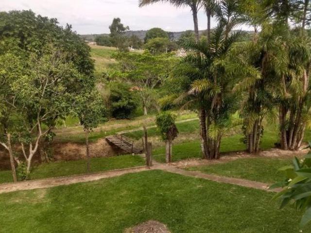 Sítio e chácara venda em Região Geográfica Imediata de Santo Antônio da Platina, Jacarezinho