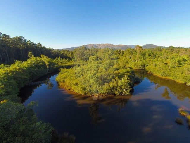 Loja venda em São Pedro d'Arcos, Ponte de Lima