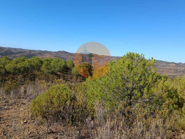 Loja venda em Vaqueiros, Faro