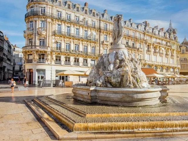 Local Commercial vente à Montpellier