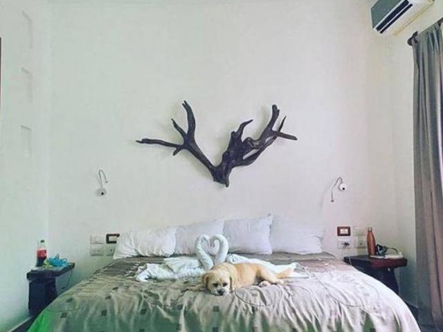 Hotel, BR10, Eco Boutique, Playa del Carmen