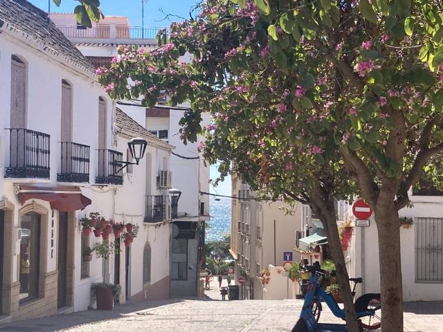 Oficina en venta en Barriada Islas Canarias, Costa del Sol Occidental