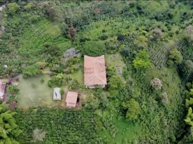 Local en venta en Quindío