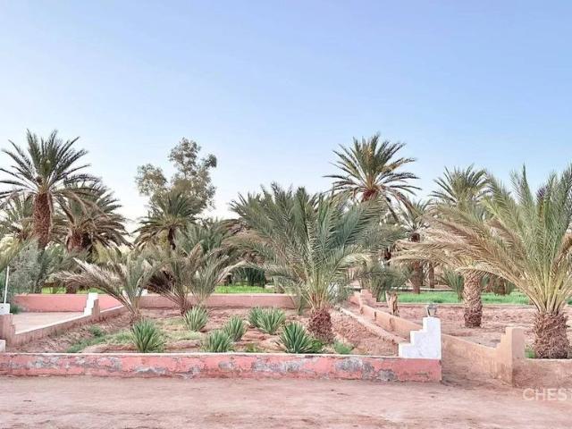 Propriété vente à M'hamid El Ghizlane