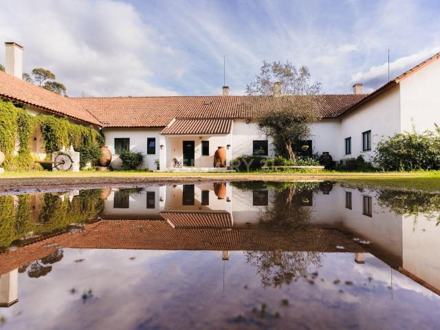 Loja venda em Estremoz, Évora