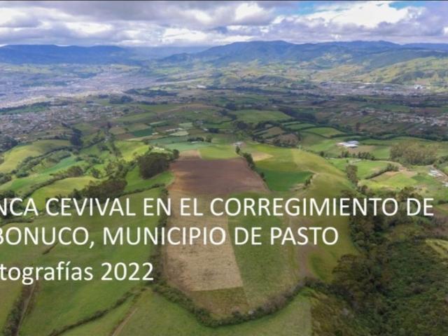 Local en venta en Nariño