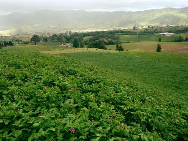 Hotel de lujo de 350000 m2 en venta Pasto, Departamento de Nariño