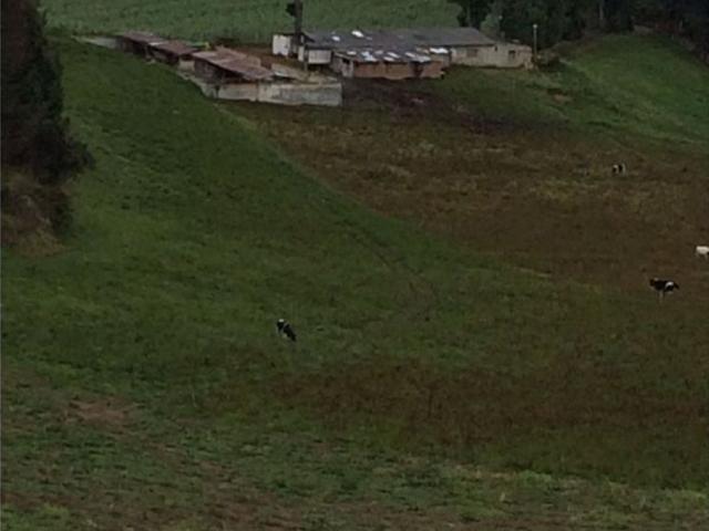 Hotel de lujo de 350000 m2 en venta Pasto, Departamento de Nariño