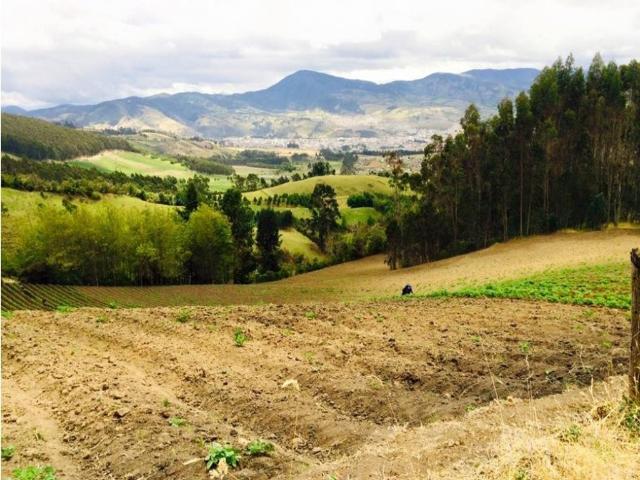 Hotel de lujo de 350000 m2 en venta Pasto, Departamento de Nariño
