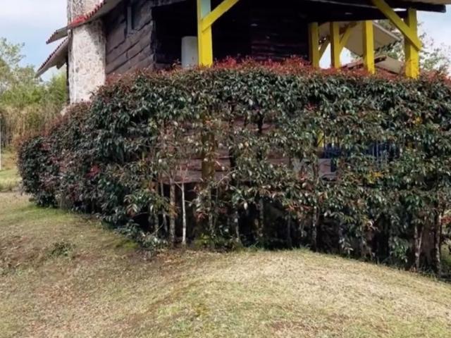 Hotel En Venta En Pereira En Via Armenia V302562