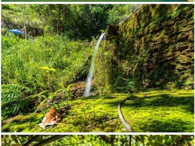 Sítio e chácara venda em Região Geográfica Imediata de Luziânia, Região Integrada de Desenvolvimento do Distrito Federal e Entorno