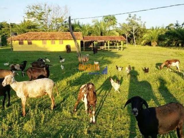 Ponto Comercial venda em Região Geográfica Imediata de Jardim, Bonito