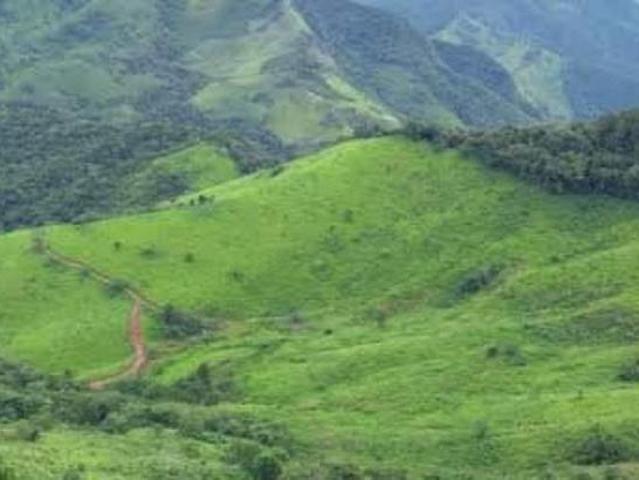 Terreno venda em Região Geográfica Imediata de Curitiba, Região Metropolitana de Curitiba
