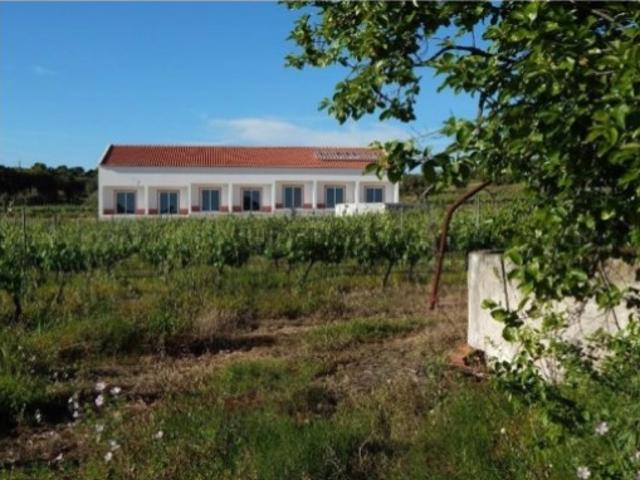 Casa venda em Vidigueira, Beja