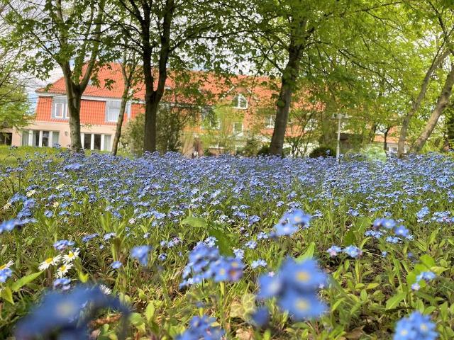 Gewerbe kaufen in Hanstedt II, Uelzen