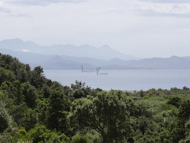 Villa vente à Calvi, Saint-florent