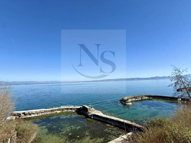 Local Commercial vente à Thonon-les-Bains, Publier